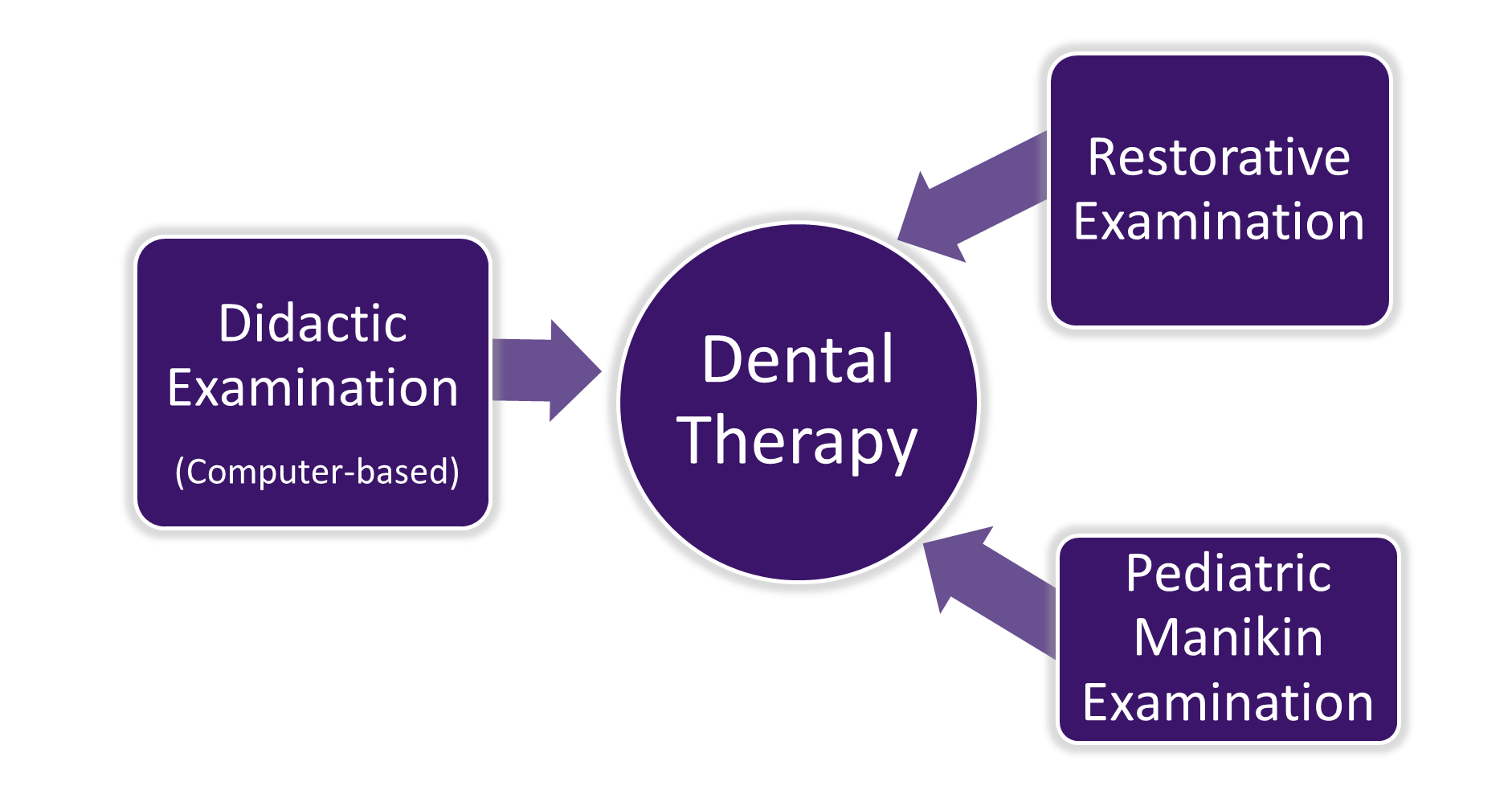 Dental Therapy Exams